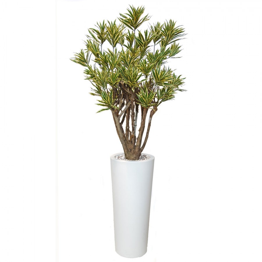 Planta semi-artificiala Ila, Dracaena Reflexa Robusta Variegated - 190 cm